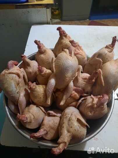 Продаю мясо уток, гусей и перепелов