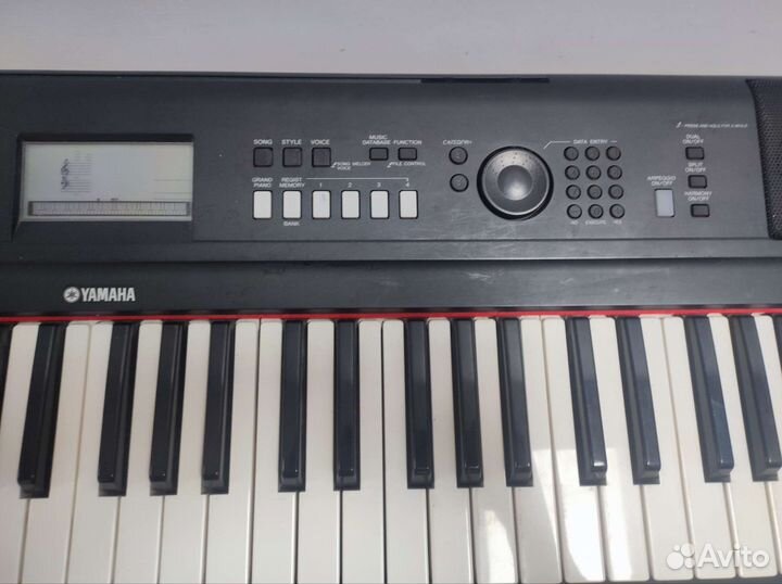 Цифровое пианино Yamaha NP V80