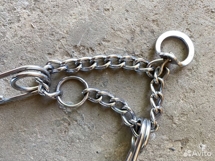 Строгий ошейник для собак