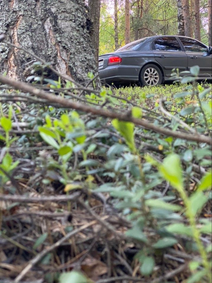 Hyundai Sonata: фото владельца