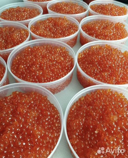Красная икра Кеты