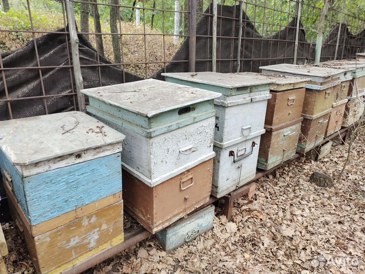 Продам ульи для пчел