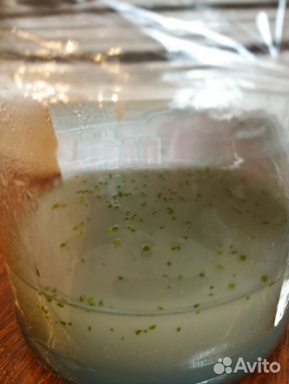 Фласка орхидеи