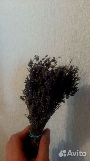 Букетики лаванды