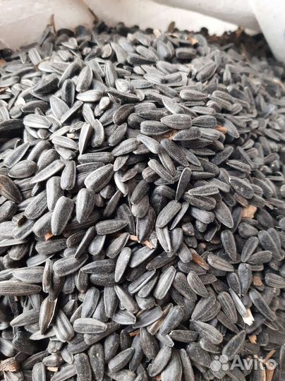 Семечки подсолнечника в мешках