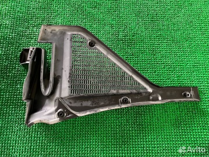 Жабо лев. BMW X5