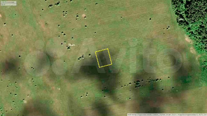 Участок 20 сот. (СНТ, ДНП)