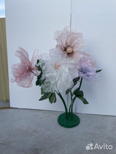 Ростовые цветы