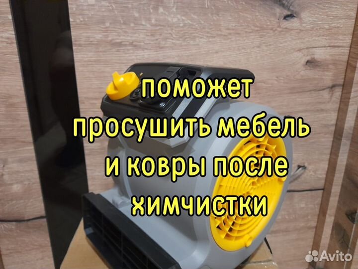 Аренда моющих пылесосов,пароочистителей Барнаул