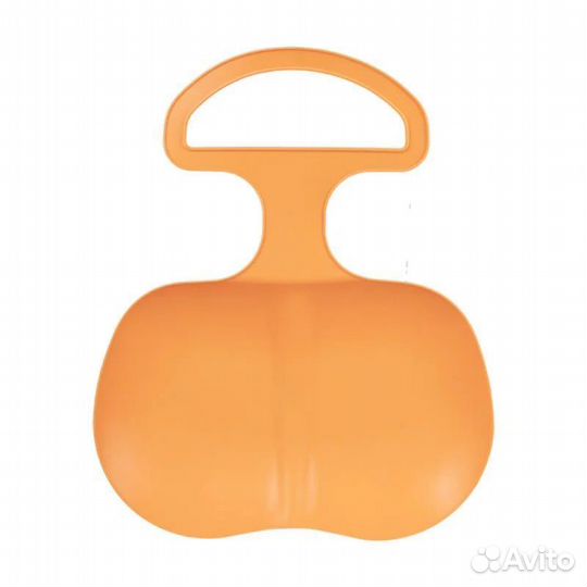 Ледянка малая