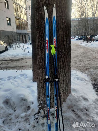 Беговые лыжи