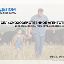 Сельскохозяйственное агентство в городе, Гомель