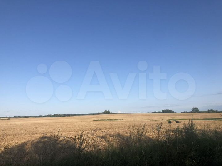 Участок 38,4 га (ИЖС)