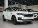 Новый Skoda Kamiq 1.6 AT, 2023, цена 2940000 руб.