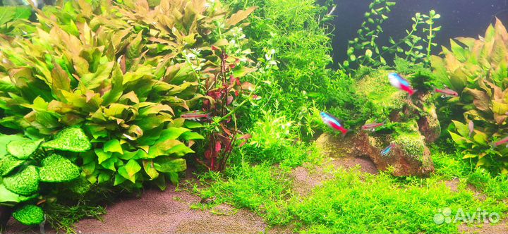 Аквариум с тумбой