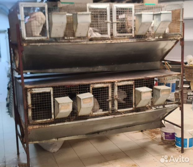 Клетка для кроликов 12 секций