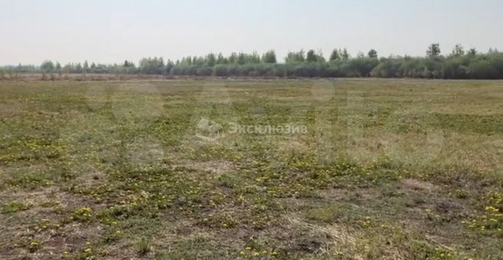 Участок 15 сот. (ИЖС)
