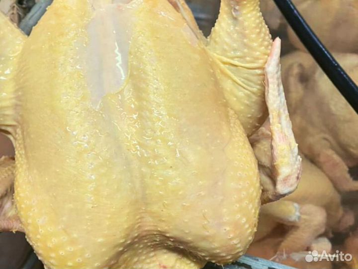 Куры фермерские