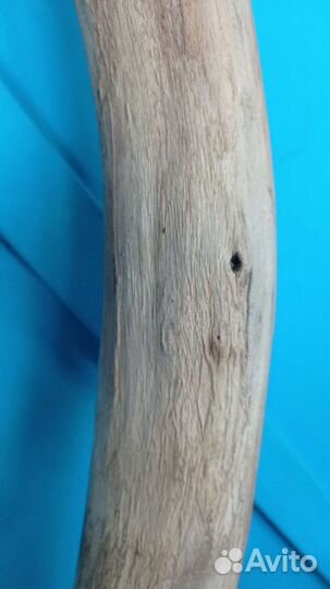 Коряги, ветки, стволы. Карагач, вяз