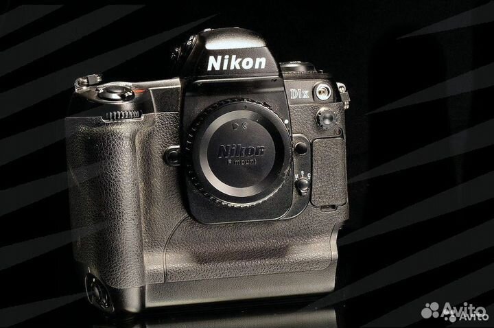 Nikon D1x / 0797