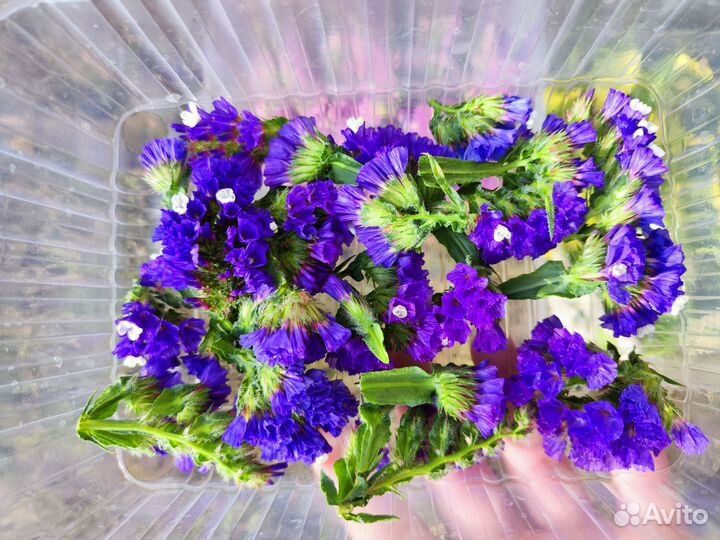 Статица для творчества