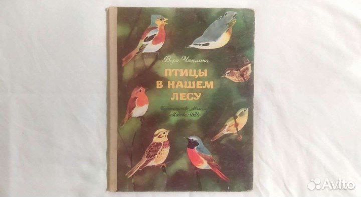 Книга «Птицы в нашем лесу» 1984 / Вера Чаплина