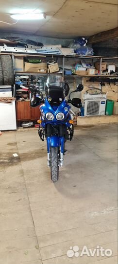 Triumph tiger 955i