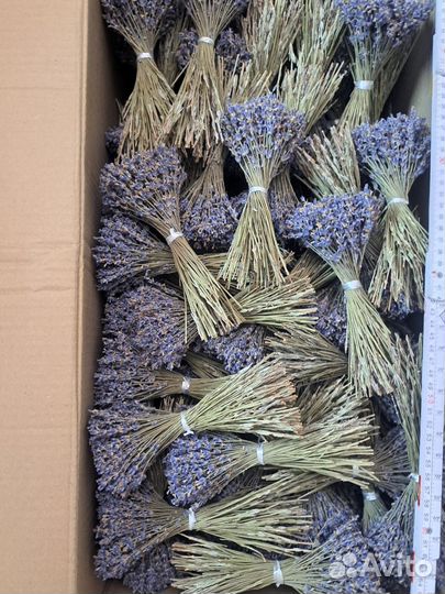 Букеты лаванды