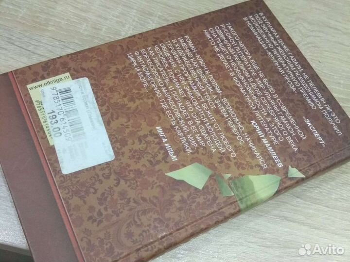 Ульяна Гамаюн ключ к полям