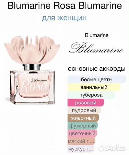 Blumarine rosa