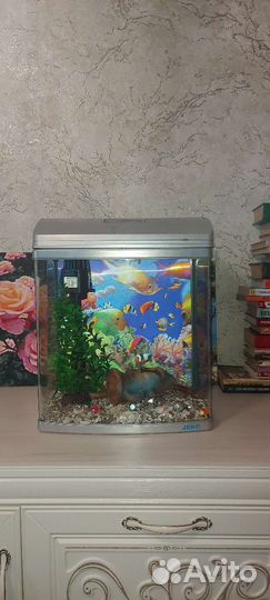 Аквариум