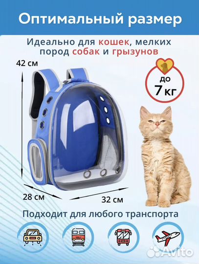 Прокат переноски - рюкзака для кошек и собак