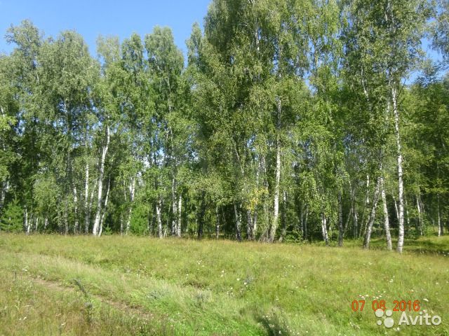 Участок 20 сот. (ИЖС)