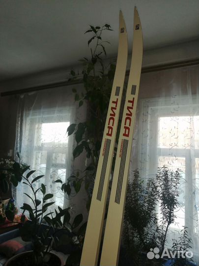 Лыжи беговые fisher, новые 210 рост