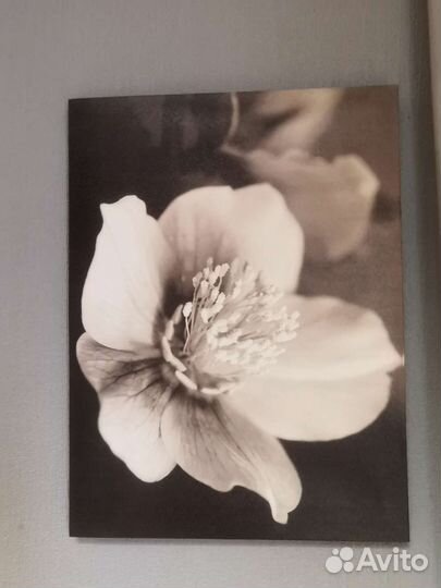 Модуль из трех картин