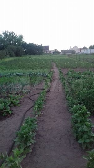 Участок 8 сот. (ИЖС)