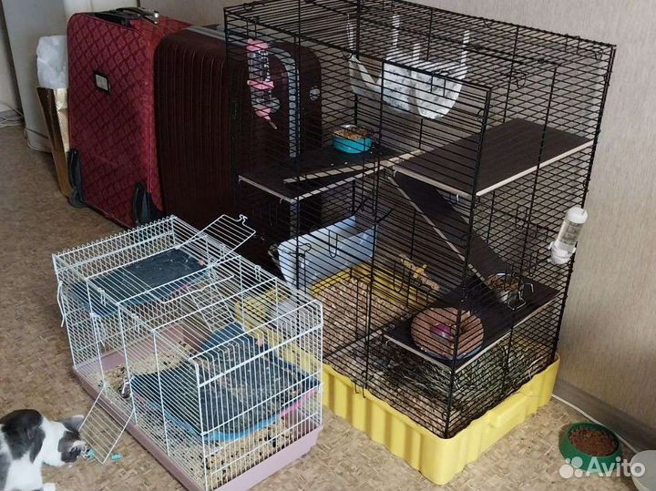 Клетка для крыс, шиншилл, дегу, хорьков