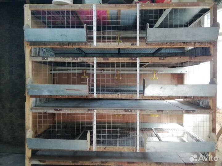 Клетки для кур бройлеров