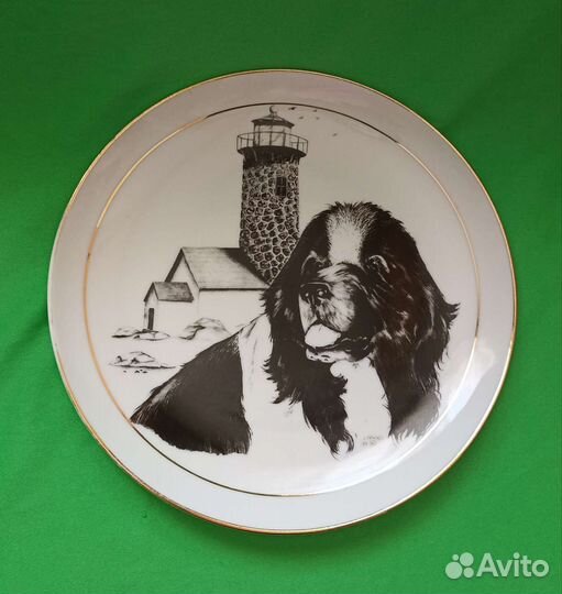 Тарелка фарфор, США Ньюфаундленд Ландсир Собака