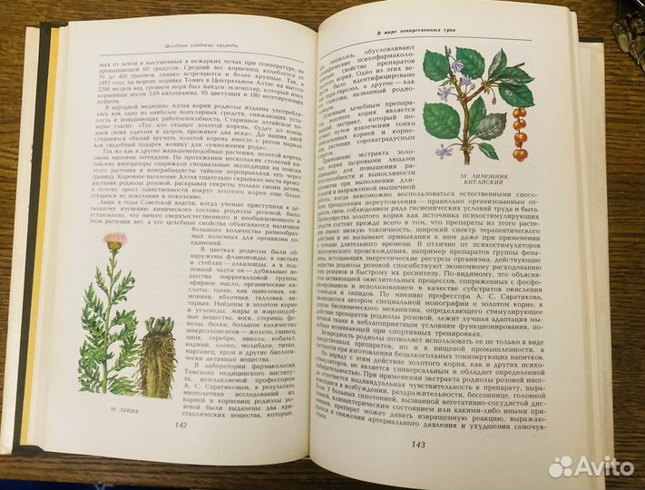 Стекольников Мурлх Целебные кладовые природы