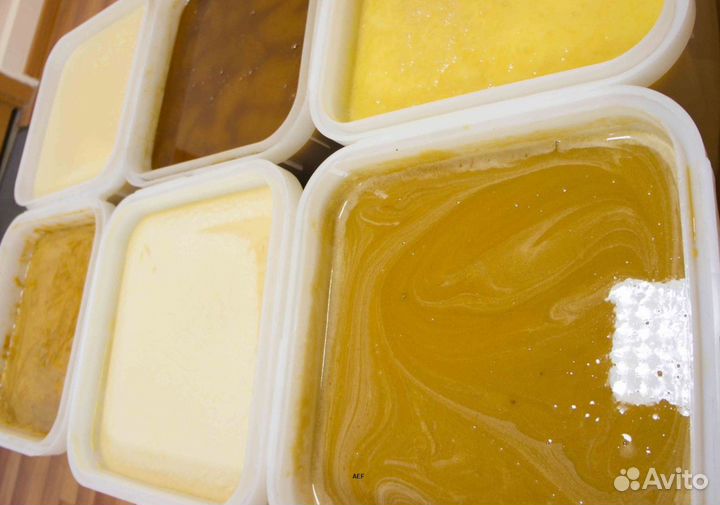 2024 Мед натуральный алтайский опт