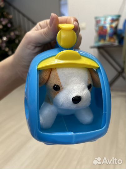 Питомец в домике