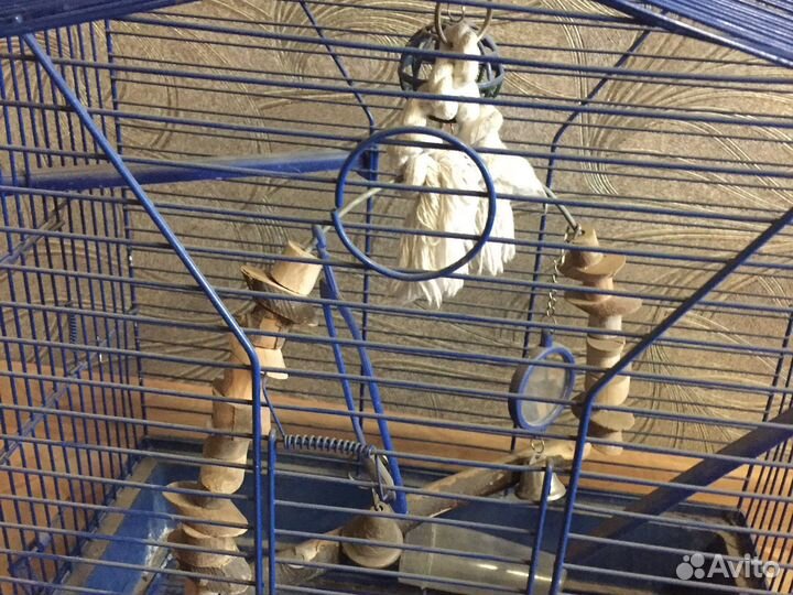 Клетка для попугая