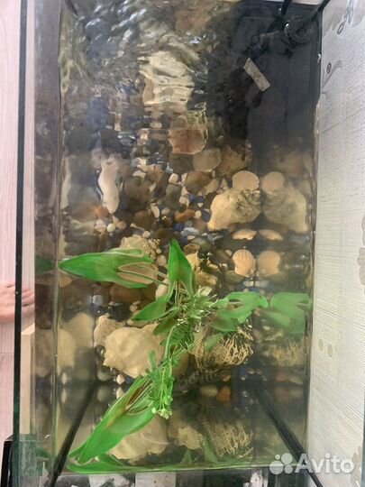 Аквариум