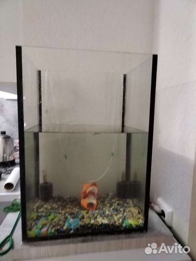 Высокий аквариум 60 см