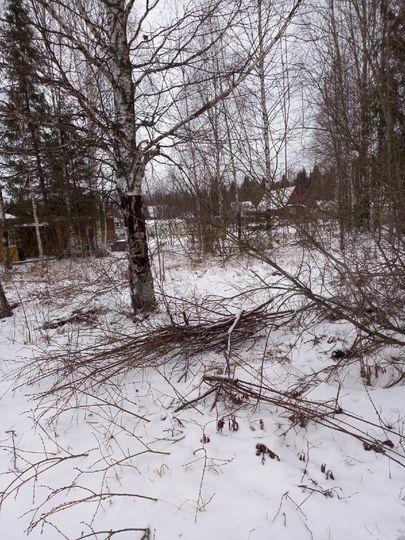 Участок 9,4 сот. (СНТ, ДНП)