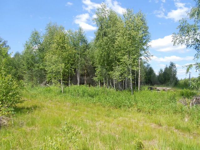 Участок 16,5 сот. (ИЖС)