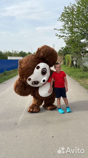 Поздравление