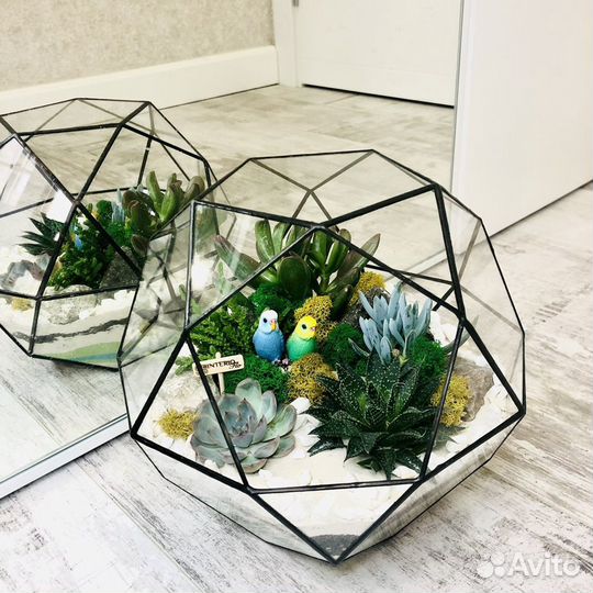 Флорариум в шаре