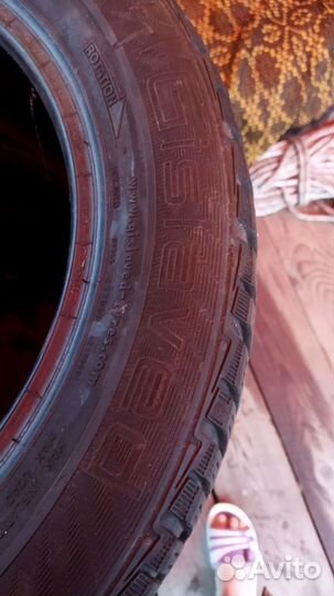 Gislaved Frost 205/55 R16